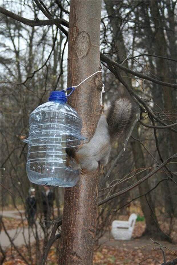 Мамина игрушка (69 фото) Мамина игрушка (69 фото)