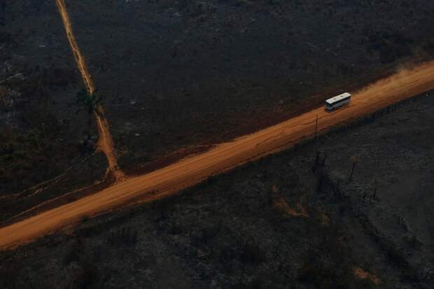 Борьба с пожарами и вырубкой лесов в Амазонии