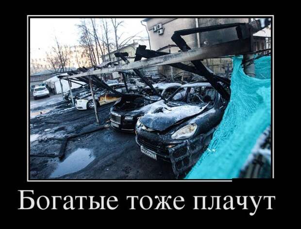 Демотиваторы бревно, демотиваторы, юмор