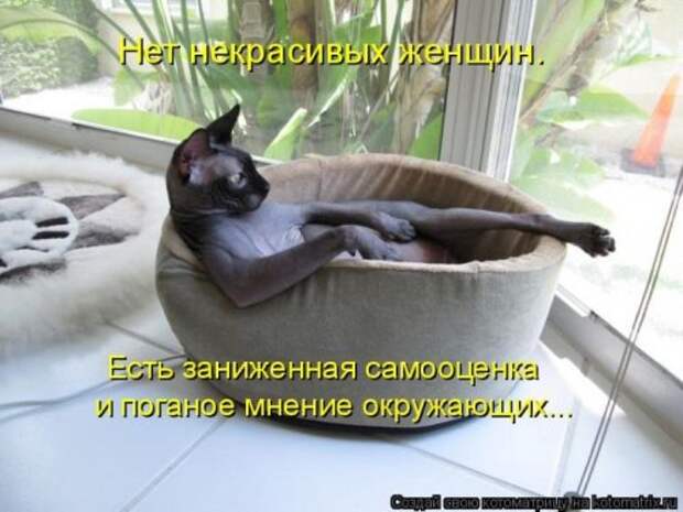 Милая котоматрица
