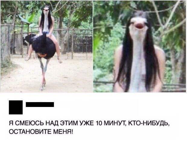 Веселые картинки с надписями для настроения (11 фото) Веселые картинки с надписями для настроения (11 фото)