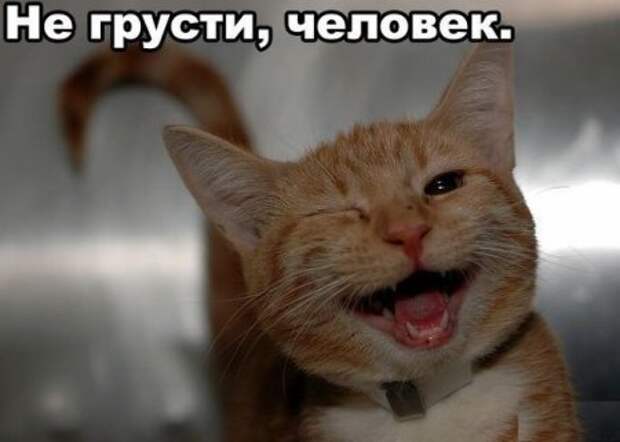 Октябрьские шутки.