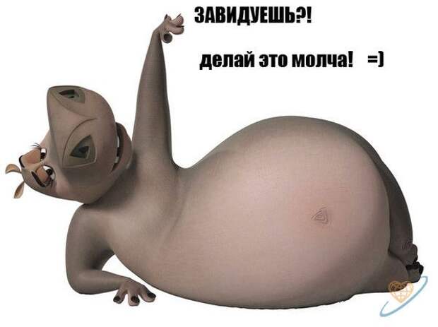 Забавная живность :) (35фото)