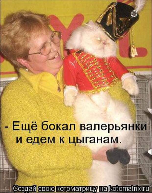 Лучшие котоматрицы за неделю