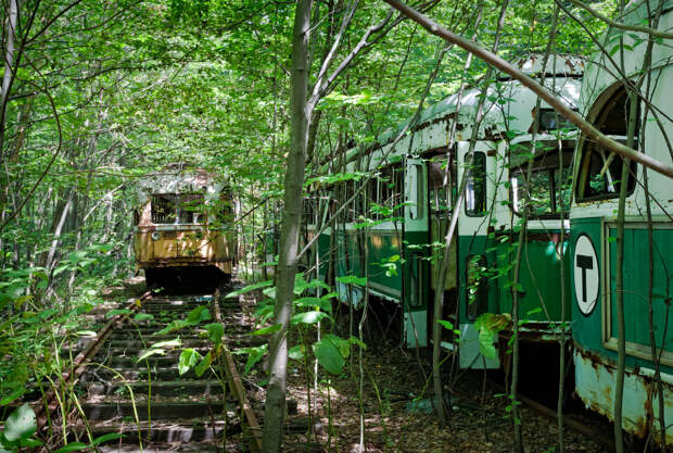 Abandoned Trolley Graveyard Abandoned Trolley Graveyard