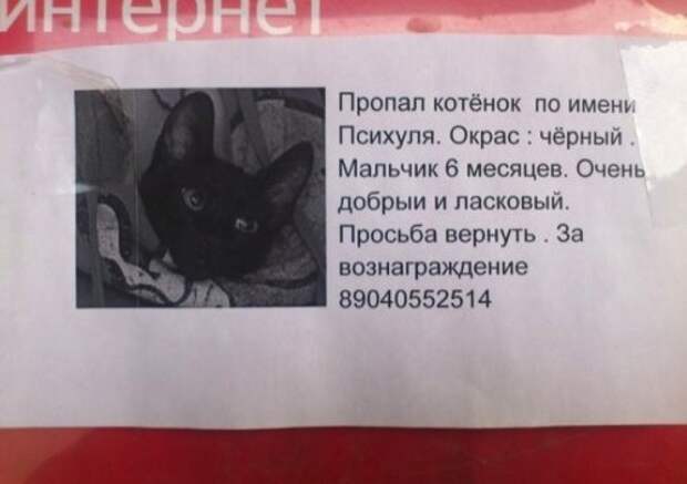 Смешные и прикольные объявления, вывески и надписи (19 фото)