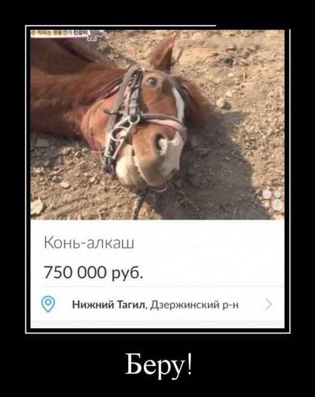 Демотиваторы (30 фото)