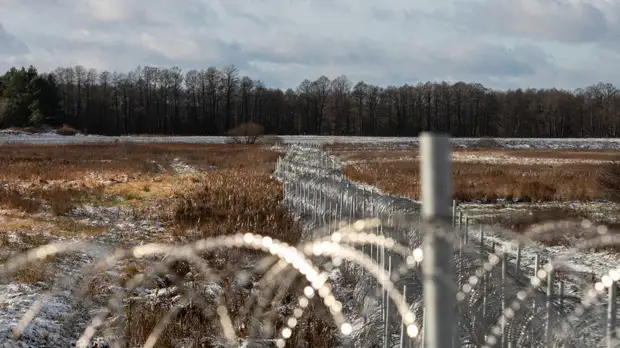 В кабмине Литвы заявили об отсутствии планов продлевать режим ЧП на границе с Белоруссией