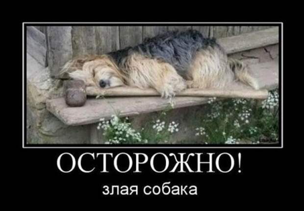 Новые прикольные демотиваторы (21 шт)