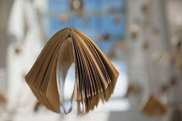 Книга. Фото: Pixabay.com