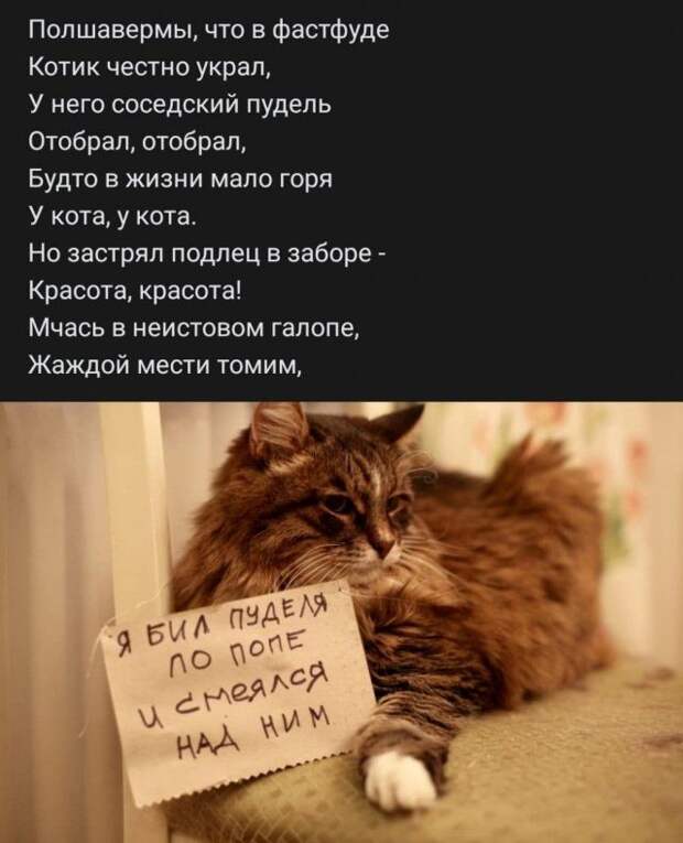 Стишки из социальных сетей