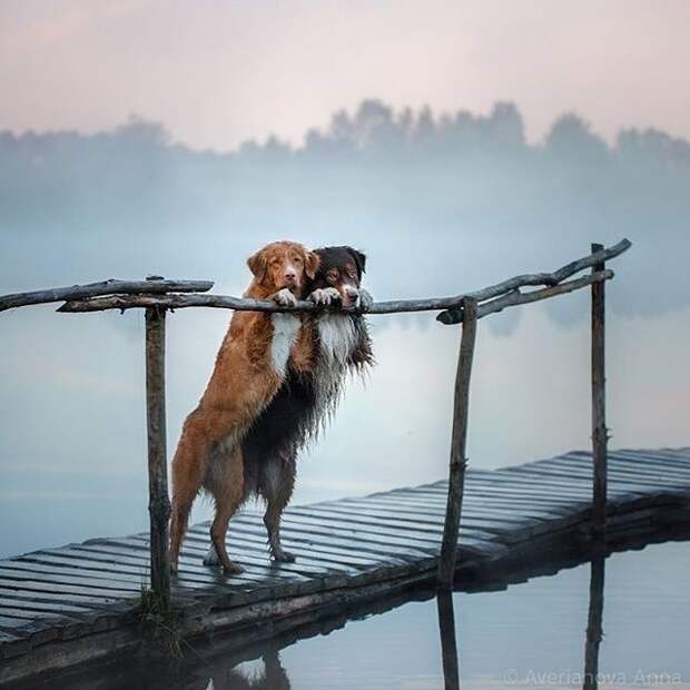 Для позитива на душе жизнь, фото, эмоции