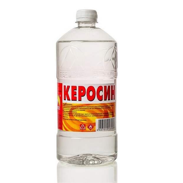 Как избавиться от земляных блох