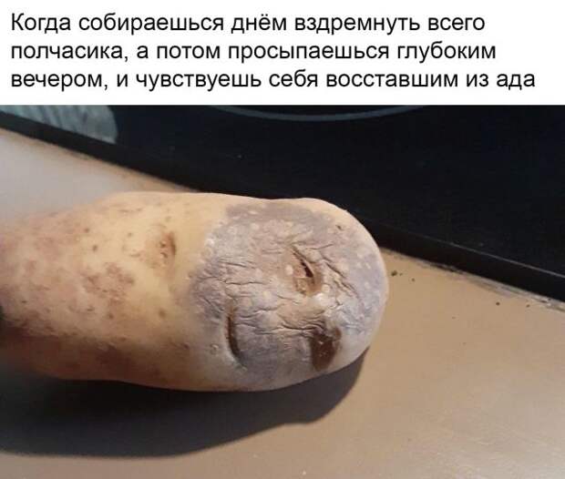 www.vsyako.net