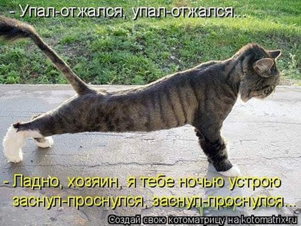 1428677925_kotomatricy-36