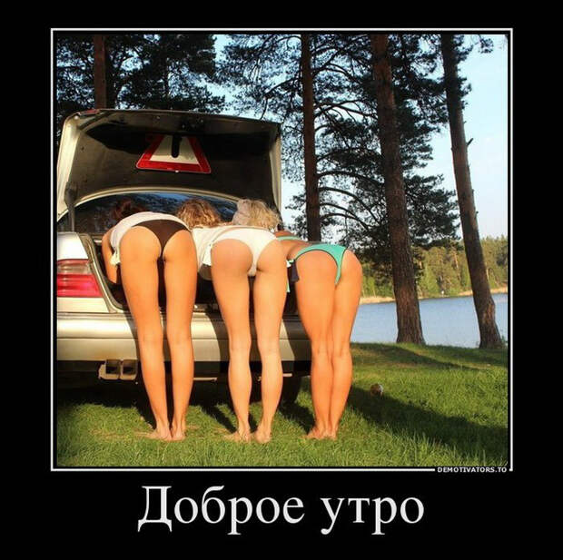 Веселые демотиваторы на утро (11 фото)