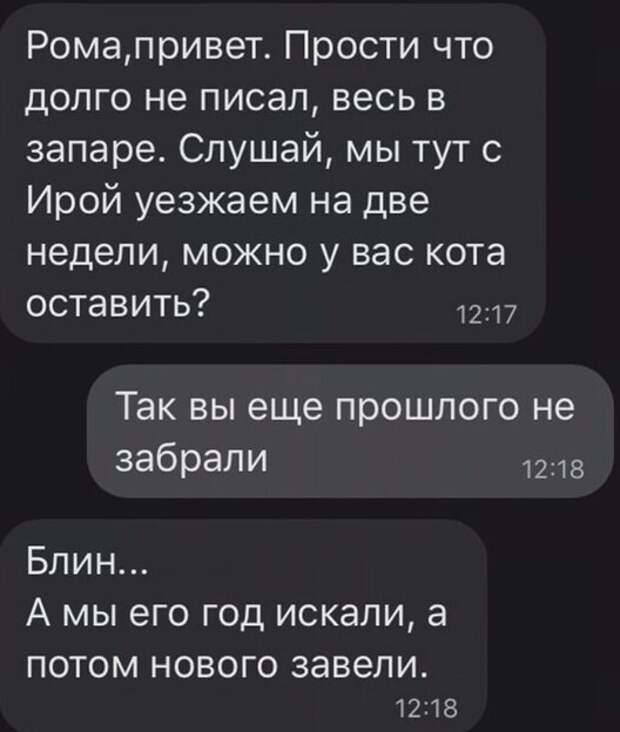 Заботливые хозяева Заботливые хозяева