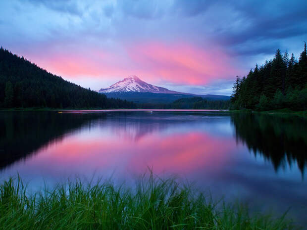 Purple_Landscape_Wallpaper_hvsj (700x525, 95Kb)