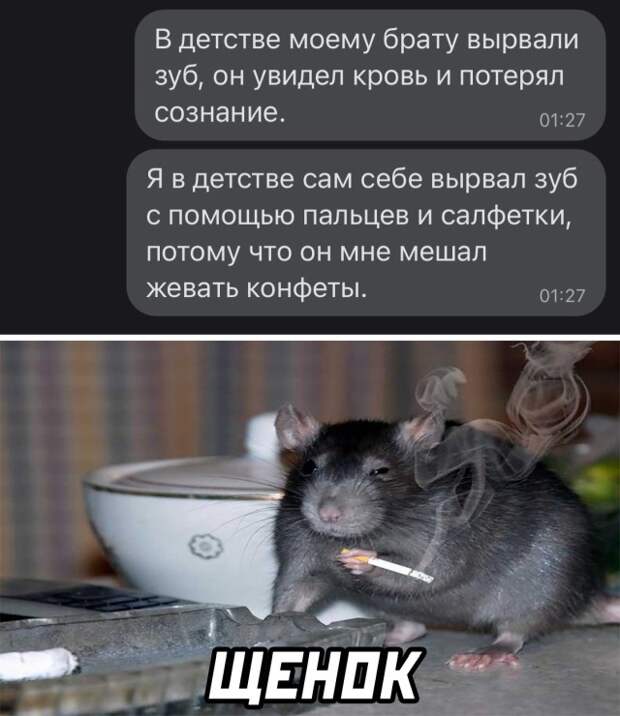 Смешные фото 16 февраля 2021 года