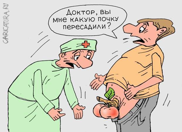Виктор Богданов "Пересадка почки"
