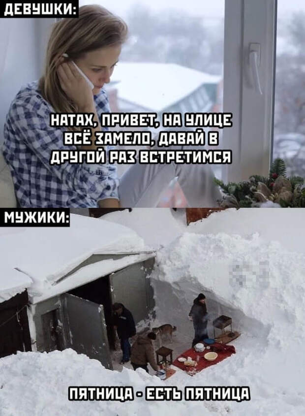 Смешные картинки 29 января 2021