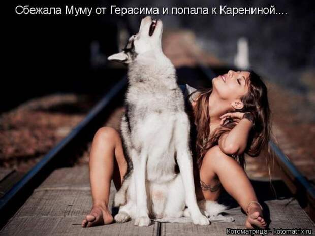 Лучшие котоматрицы недели (50 фото)