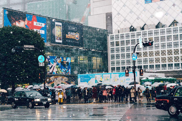 Snowy Shibuya, Tokyo