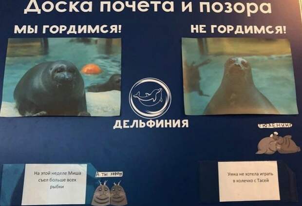 Техническое. 16.04.2021
