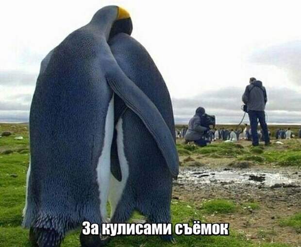 Подборка картинок