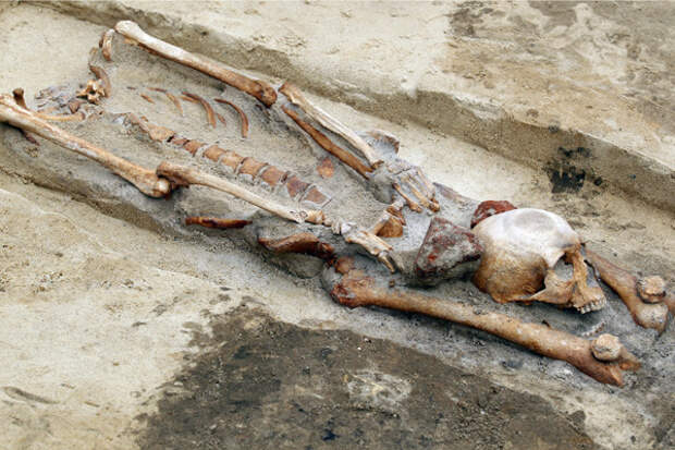Скелет с отрубленной головой в ногах на древнем &quot;кладбище вампиров&quot; в польском городе Гливице