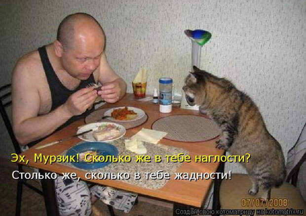 kotomatritsa_tg (700x493, 327Kb)
