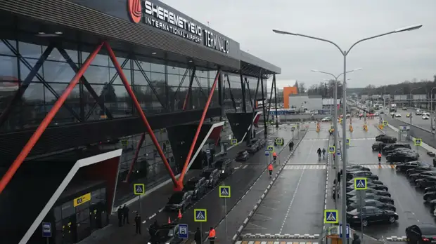 Оставленных в Шереметьеве детей передадут бабушке