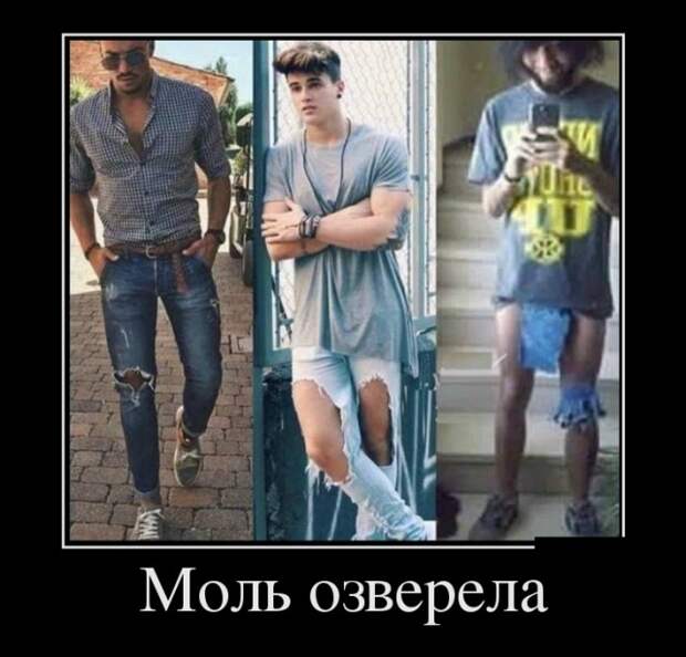 Демотиваторы Демотиваторы