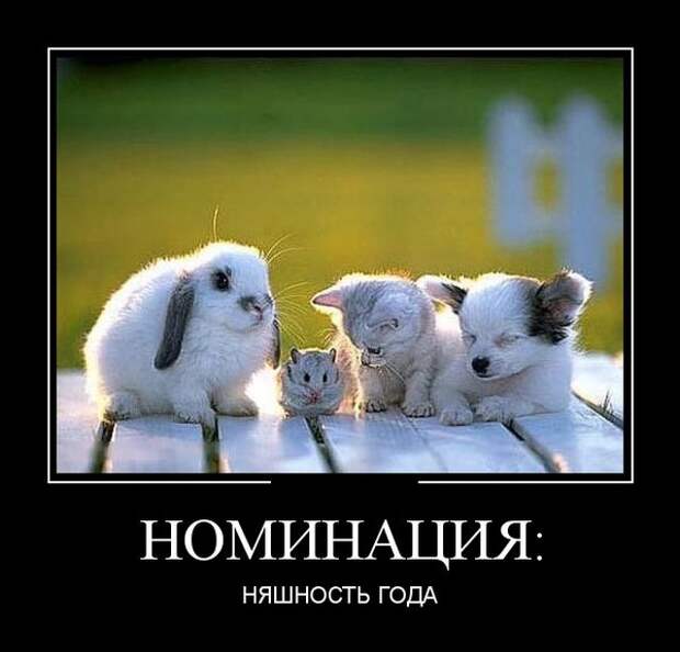 Демотиваторы (30 фото)
