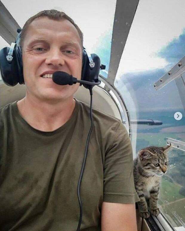 Подборка прикольных картинок