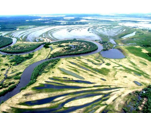 Большое Васюганское болото - природный феномен, не имеющий аналогов в мире! красота, природа, россия, сибирь