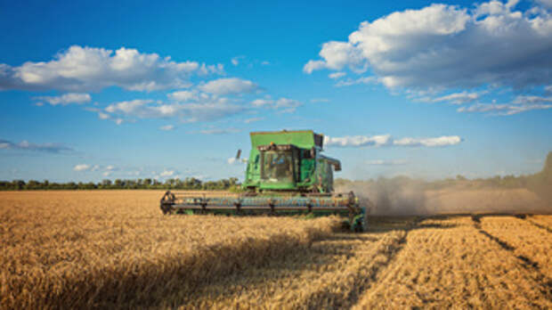 300 трактористов. Когда и где пройдет "День сибирского поля-2023"