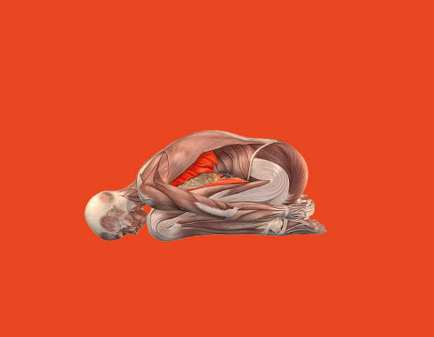 Не гнется спина? Упражнения, которые вернут гибкость