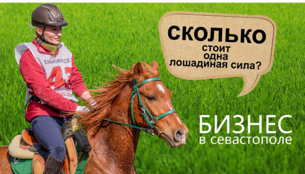 Конный дом «Арион» в Севастополе. Сколько стоит одна лошадиная сила?