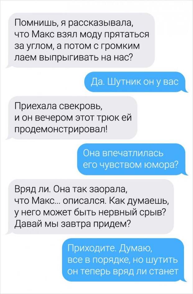 Девушка-ветеринар поделилась забавными переписками с ее клиентами