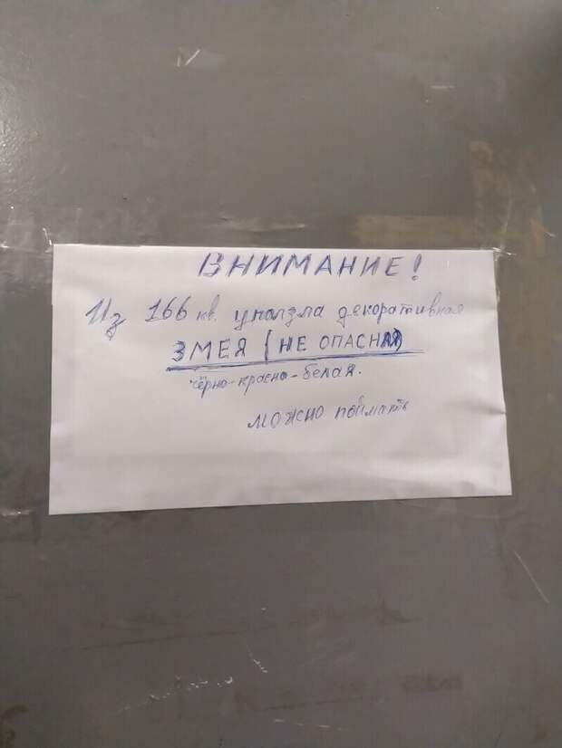 Еще немножко реальных объявлений Еще немножко реальных объявлений