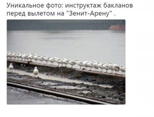 Смешные короткие анекдоты (10 шт)