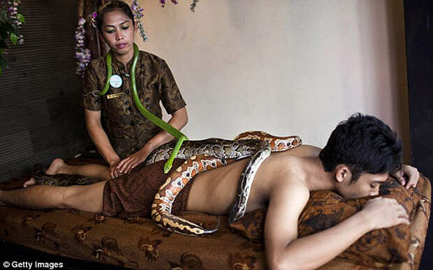 Змеиный массаж snakemassage04 Змеиный массаж