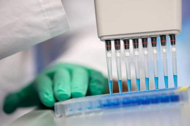 Фото: Sven Hoppe/dpa/www.globallookpress.com