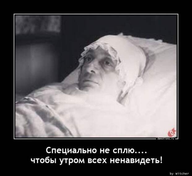 1604563479_demy-10.jpg