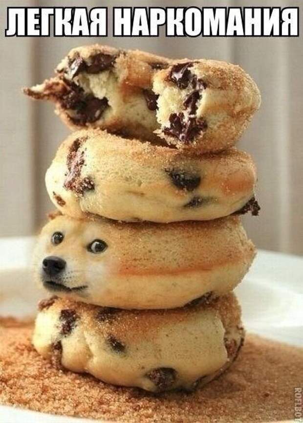 Клуб любителей юмора.