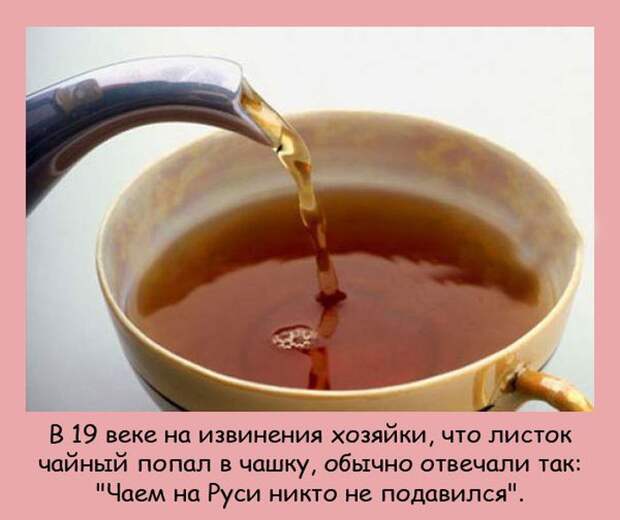 Интересные факты в картинках (20 фото) Интересные факты в картинках (20 фото)