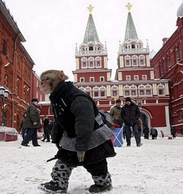 Приколы в москве