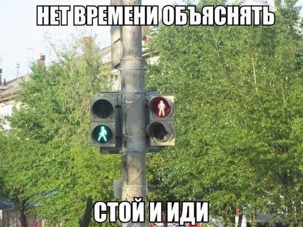Весело до сумасшествия
