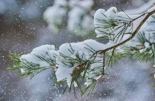 Прогноз погоды на 7 января